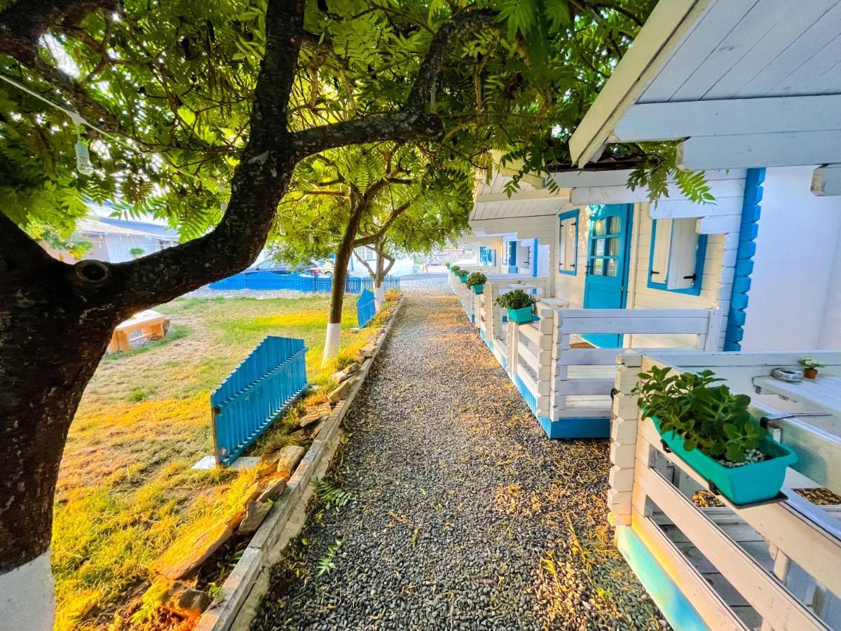 Manu B&B Murighiol Ngoại thất bức ảnh