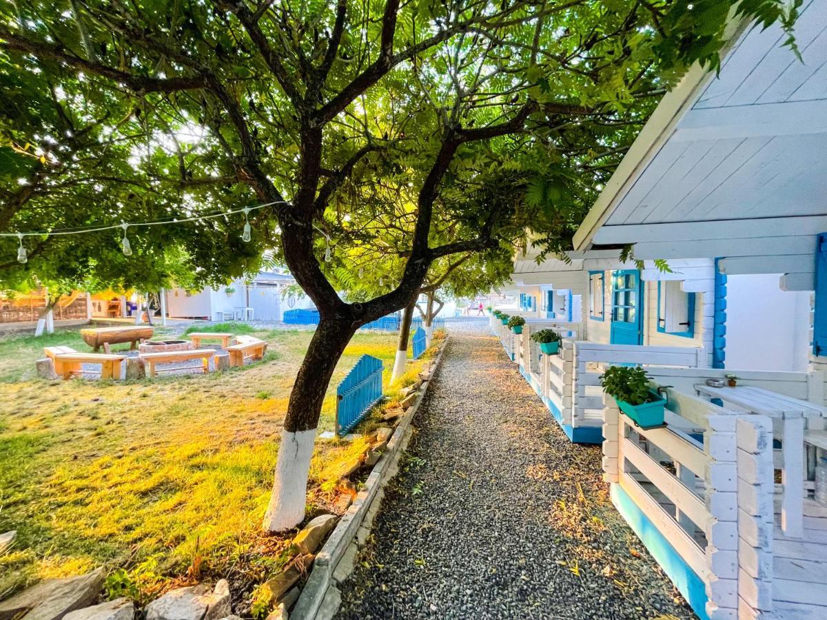 Manu B&B Murighiol Ngoại thất bức ảnh